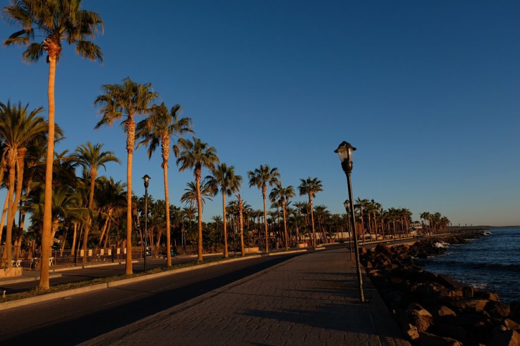 The lovely palm tree lined Malecon in Loreto
