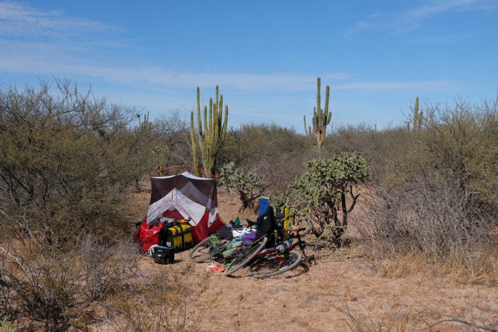Camping in the cactuses