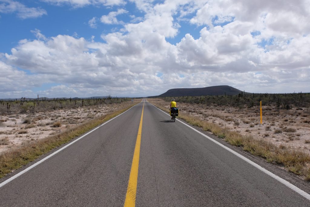 Straight roads through cactus desert