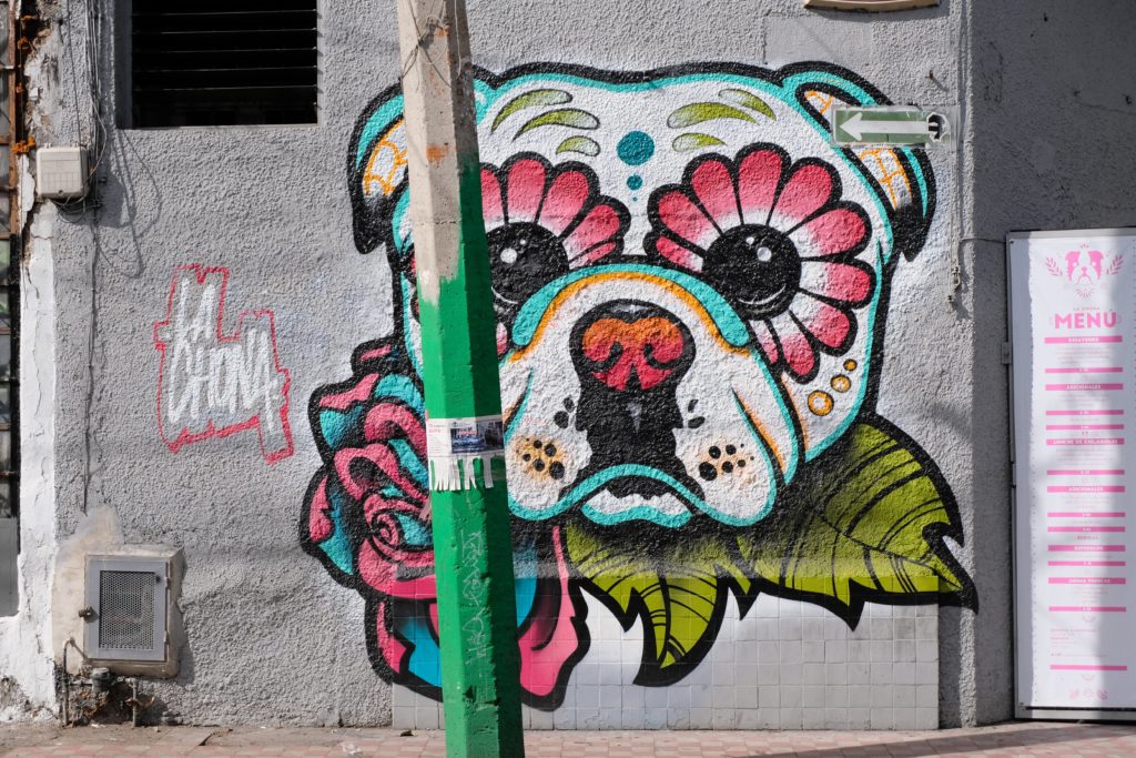 More street art in Guadalajara 